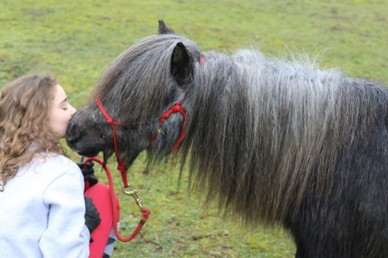 elfe laura calin epona club nature