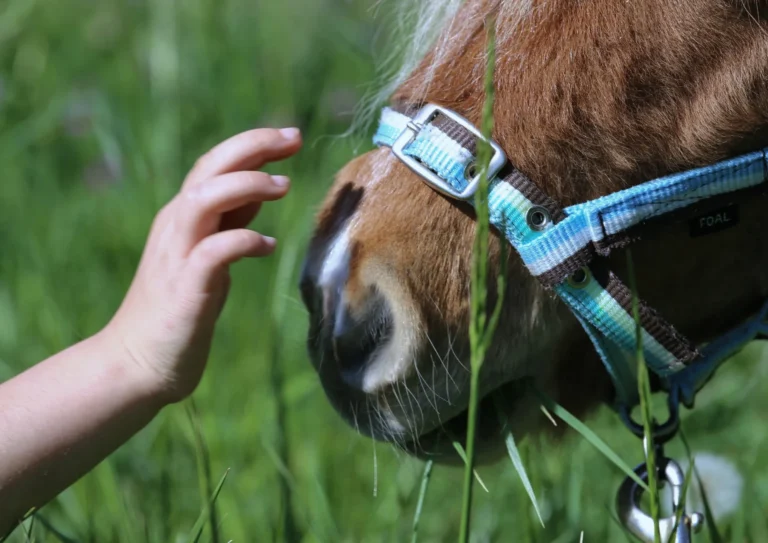 Comète-main-enfant-scaled