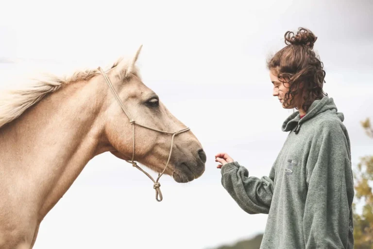 Equitherapie-Mediation-Animale-2560×1707
