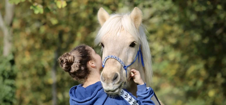 Mediation-Reifnir-L-4873x2273